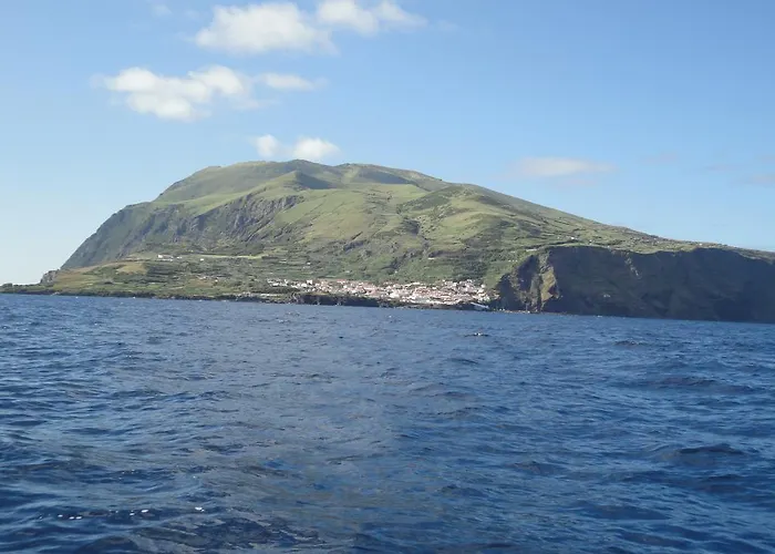 게스트하우스 Joe & Vera's Place